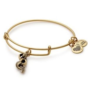 Alex and Ani mermaid charm!